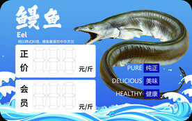 鳗鱼