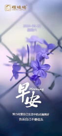 紫色花朵早签