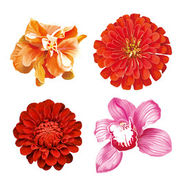 鲜花             
