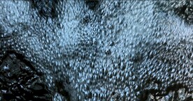 泉水流水