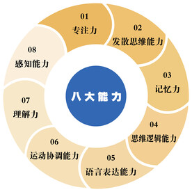 八大能力