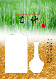 芒种节气