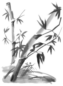 竹
