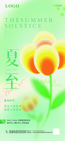 夏至 节气海报