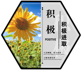 积极 积极进取