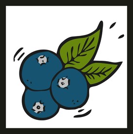 水果蓝莓