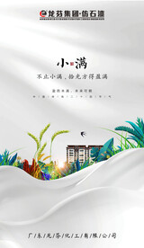 龙芬集团小满海报