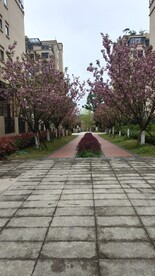 小区路口