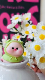 小雏菊  小猪 背景