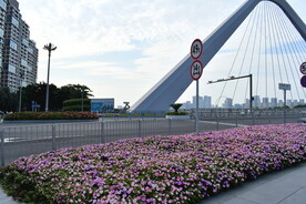 公路大桥