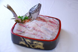 冰镇鱼片 海鲜刺身 青斑鱼片 