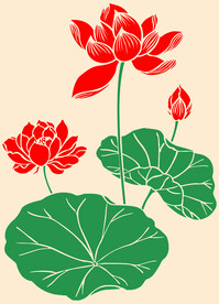 荷花