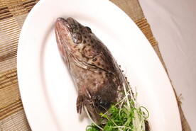 清蒸青斑