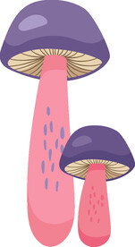 蘑菇