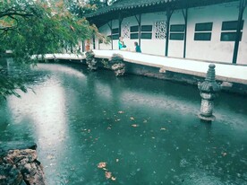 园林 湖 苏州