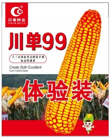 川单