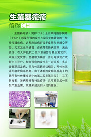          医院制度牌 