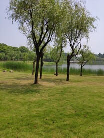 马山风景