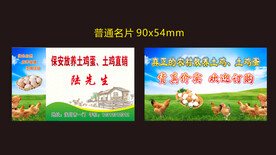放养土鸡蛋土鸡 名片