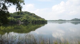 夏日湖面横向摇镜头