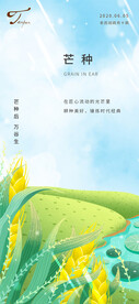 芒种