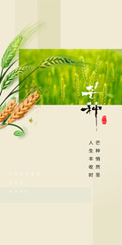 芒种