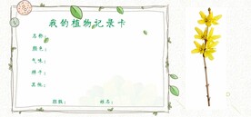 植物记录卡