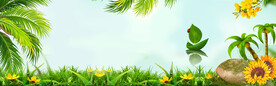 绿色植物banner