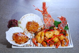 澳洲龙虾 元贝皇 