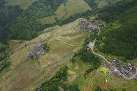 加榜梯田