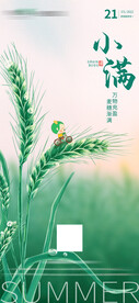 小满海报