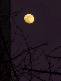 夜晚的月亮