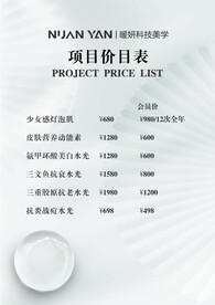 项目价格表