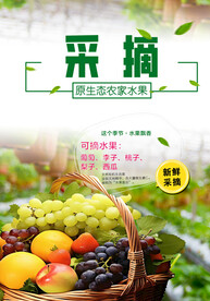 采摘园