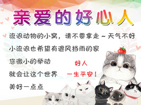 流浪猫狗海报
