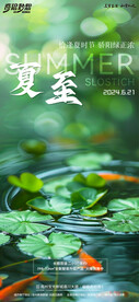 夏至节气海报