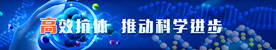 高效抗体
