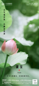夏至海报