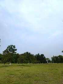 公园
