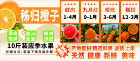秭归橙子
