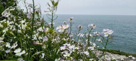 春暖花开 面朝大海
