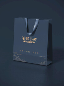 纸质手提袋样机