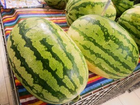 大西瓜