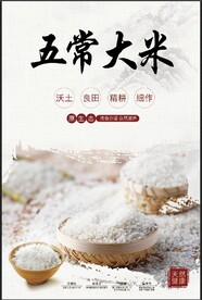 大米