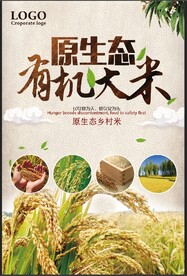 大米