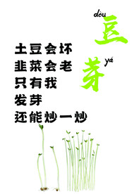 豆芽