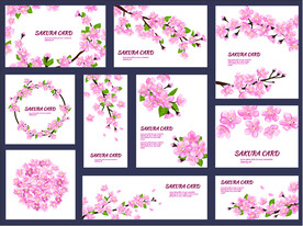 花朵梅花矢量图