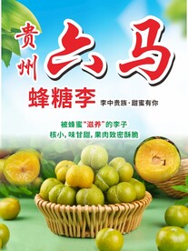 贵州六马蜂糖李