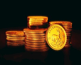 一堆金币