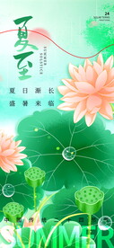 夏至